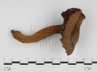 登錄號:F0024446藏品圖，第3張