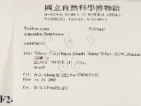 乳菇屬藏品圖，第2張