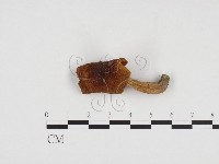 登錄號:F0024448藏品圖，第1張