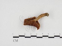 登錄號:F0024448藏品圖，第3張