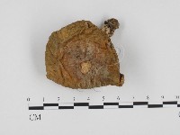 登錄號:F0024449藏品圖，第1張
