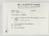 登錄號:F0024453藏品圖，第2張