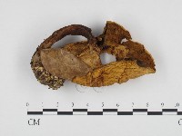 登錄號:F0024453藏品圖，第3張