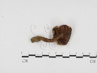 登錄號:F0024454藏品圖，第3張