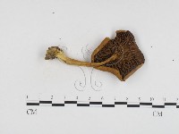 登錄號:F0024456藏品圖，第3張