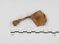 登錄號:F0024459藏品圖，第1張