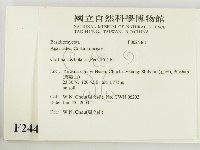 登錄號:F0024461藏品圖，第2張