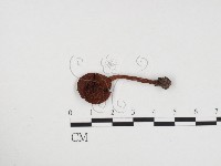 登錄號:F0024461藏品圖，第1張