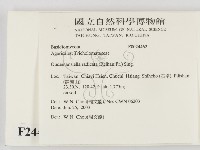 登錄號:F0024462藏品圖，第2張