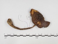 登錄號:F0024467藏品圖，第1張
