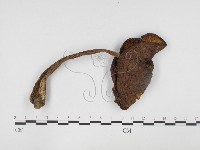 登錄號:F0024467藏品圖，第3張