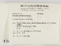 登錄號:F0024468藏品圖，第2張