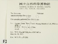 登錄號:F0024469藏品圖，第2張