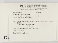 登錄號:F0024470藏品圖，第2張