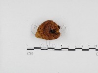 登錄號:F0024471藏品圖，第1張