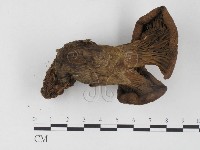 登錄號:F0024472藏品圖，第1張