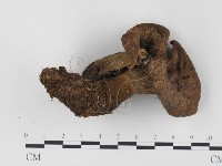 登錄號:F0024472藏品圖，第3張