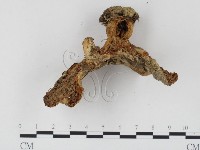 登錄號:F0024473藏品圖，第3張