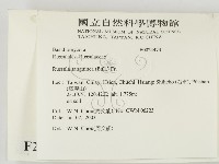 登錄號:F0024474藏品圖，第2張