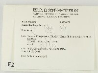 紅菇屬藏品圖，第2張