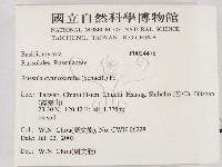 登錄號:F0024478藏品圖，第2張