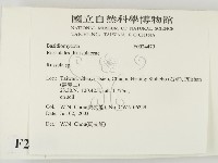 紅菇屬藏品圖，第2張