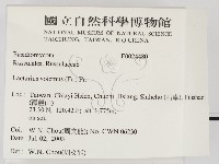 登錄號:F0024480藏品圖，第2張