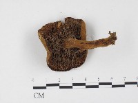 登錄號:F0024480藏品圖，第3張