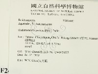 登錄號:F0024482藏品圖，第2張