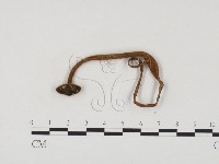 登錄號:F0024482藏品圖，第3張