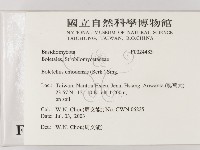 登錄號:F0024483藏品圖，第2張