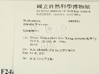 登錄號:F0024484藏品圖，第2張