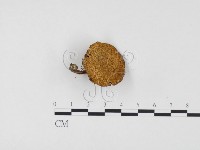 登錄號:F0024486藏品圖，第1張