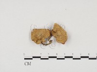 登錄號:F0024487藏品圖，第1張