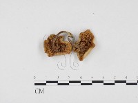 登錄號:F0024487藏品圖，第3張