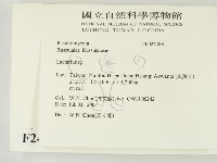 乳菇屬藏品圖，第2張