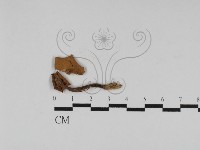 登錄號:F0024489藏品圖，第1張