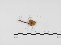 登錄號:F0024489藏品圖，第3張