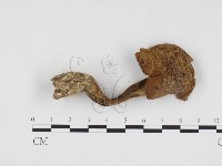 登錄號:F0024490藏品圖，第1張