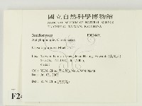 登錄號:F0024491藏品圖，第2張