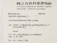 登錄號:F0024494藏品圖，第2張