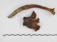 登錄號:F0024494藏品圖，第1張