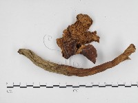 登錄號:F0024494藏品圖，第3張