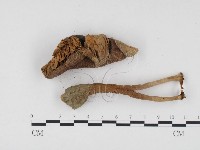 登錄號:F0024495藏品圖，第3張