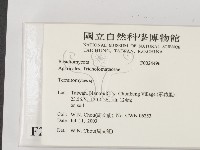 登錄號:F0024496藏品圖，第2張