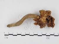 登錄號:F0024496藏品圖，第3張