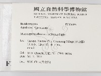 登錄號:F0024497藏品圖，第2張