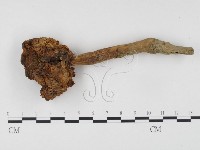 登錄號:F0024497藏品圖，第1張