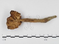 登錄號:F0024497藏品圖，第3張