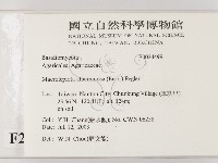 登錄號:F0024499藏品圖，第2張